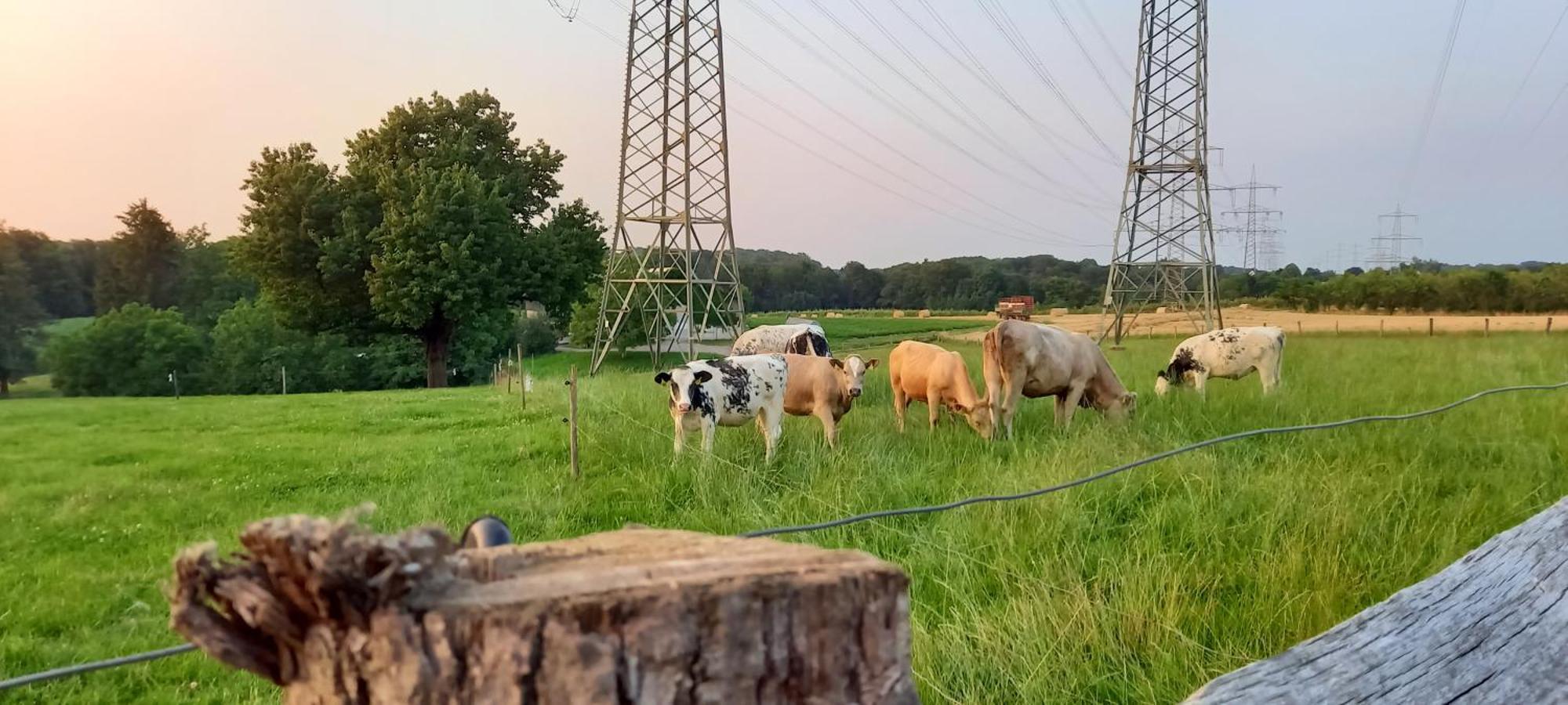 Bauernhof Sesterhenn Leichlingen Exteriör bild