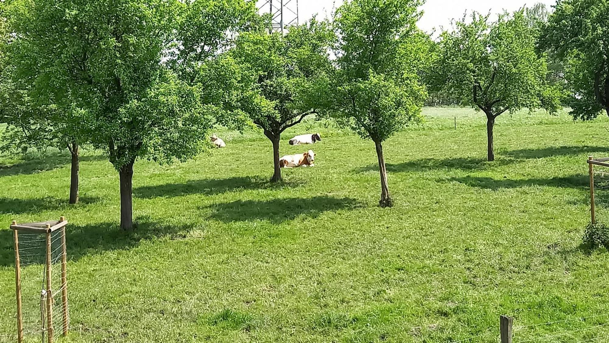 Bauernhof Sesterhenn Leichlingen Exteriör bild